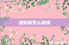 进制数怎么转换