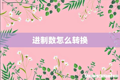 进制数怎么转换