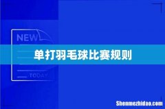 单打羽毛球比赛规则
