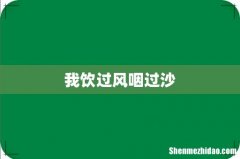 我饮过风咽过沙