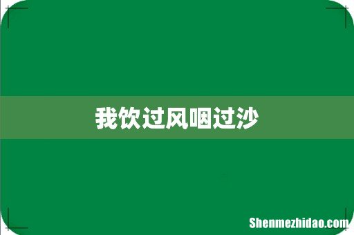 我饮过风咽过沙