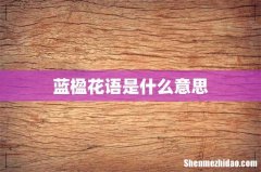 蓝楹花语是什么意思