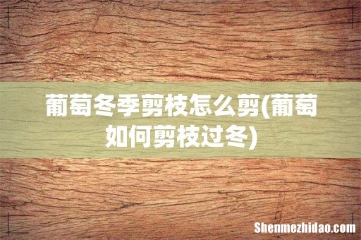 葡萄如何剪枝过冬 葡萄冬季剪枝怎么剪
