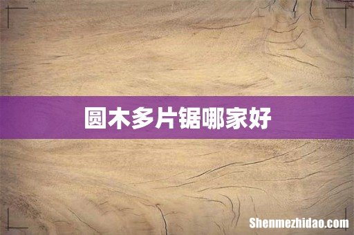 圆木多片锯哪家好