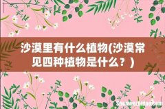 沙漠常见四种植物是什么？ 沙漠里有什么植物