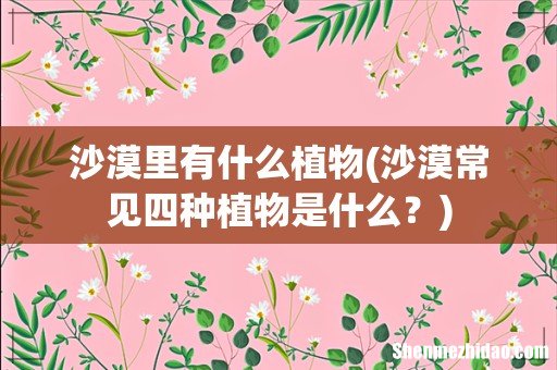 沙漠常见四种植物是什么? 沙漠里有什么植物
