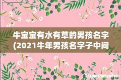 2021牛年男孩名字子中间，包含水和草的男孩名字 牛宝宝有水有草的男孩名字