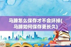 马蹄如何保存更长久 马蹄怎么保存才不会坏掉