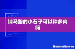铺马路的小石子可以种多肉吗