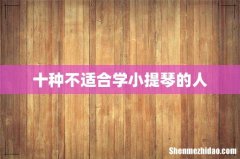 十种不适合学小提琴的人