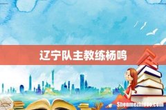 辽宁队主教练杨鸣