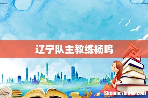 辽宁队主教练杨鸣