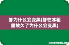 虾在冰箱里放久了为什么会变黑 虾为什么会变黑