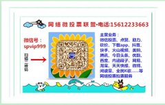 屯昌县微信人工投票刷票价格 屯昌县微信人工投票刷票价格表