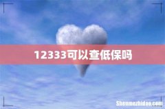 12333可以查低保吗