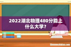 2022湖北物理480分能上什么大学？