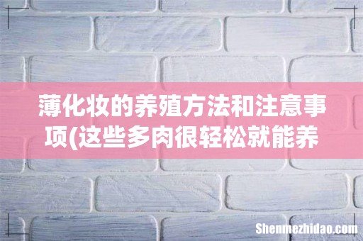 这些多肉很轻松就能养成悬崖桩,在室内养也可以,你知道吗? 薄化妆的养殖方法和注意事项