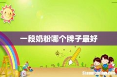 一段奶粉哪个牌子最好