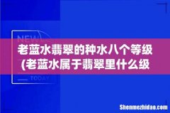 老蓝水属于翡翠里什么级别？ 老蓝水翡翠的种水八个等级