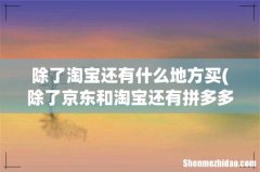 除了京东和淘宝还有拼多多和美团,这四个之外,还有什么软件能买衣服。 除了淘宝还有什么地