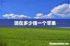 现在多少钱一个苹果