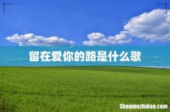 留在爱你的路是什么歌