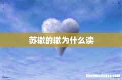 苏辙的辙为什么读