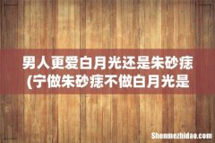 宁做朱砂痣不做白月光是什么意思-朱砂痣白月光哪个更难忘？ 男人更爱白月光还是朱砂痣
