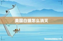 美国白蛾怎么消灭