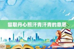 留取丹心照汗青汗青的意思