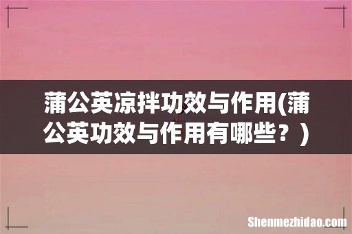蒲公英功效与作用有哪些？ 蒲公英凉拌功效与作用