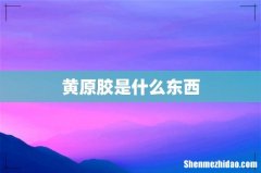 黄原胶是什么东西