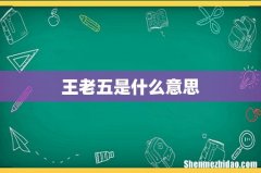 王老五是什么意思