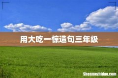 用大吃一惊造句三年级