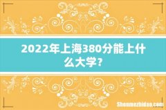 2022年上海380分能上什么大学？
