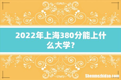 2022年上海380分能上什么大学?