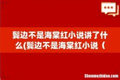 鬓边不是海棠红小说 鬓边不是海棠红原著小说是什么 鬓边不是海棠红小说讲了什么
