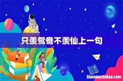 只羡鸳鸯不羡仙上一句