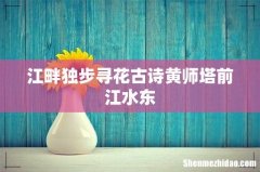 江畔独步寻花古诗黄师塔前江水东