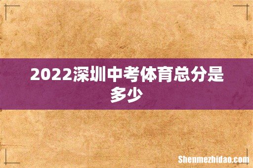 2022深圳中考体育总分是多少