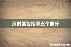 反射弧包括哪五个部分