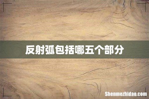 反射弧包括哪五个部分