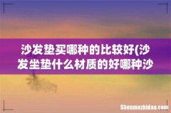 沙发坐垫什么材质的好哪种沙发坐垫材质好 沙发垫买哪种的比较好