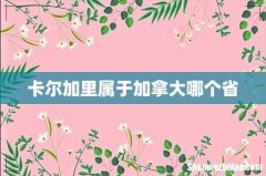 卡尔加里属于加拿大哪个省
