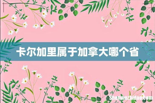 卡尔加里属于加拿大哪个省