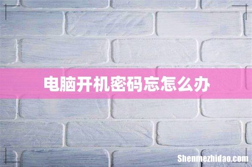 电脑开机密码忘怎么办