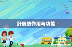 肝脏的作用与功能