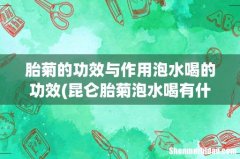 昆仑胎菊泡水喝有什么功效- 胎菊的功效与作用泡水喝的功效