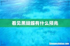 看见黑蝴蝶有什么预兆
