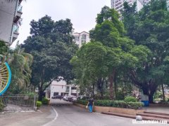 清远弘福花园怎么样 清远弘福花园怎么样呀